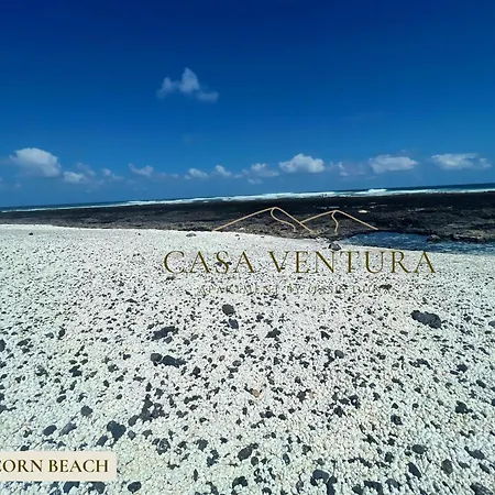 Apartamento Oasis Dunas Casa Ventura By B-rent